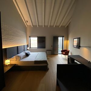 Suite Junior